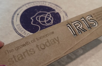 Essência | Comunicação Completa | Estratégias de Comunicação