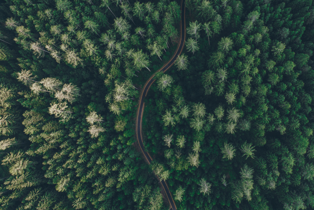 Percursos Essência | Comunicação Completa | Estratégias de Comunicação