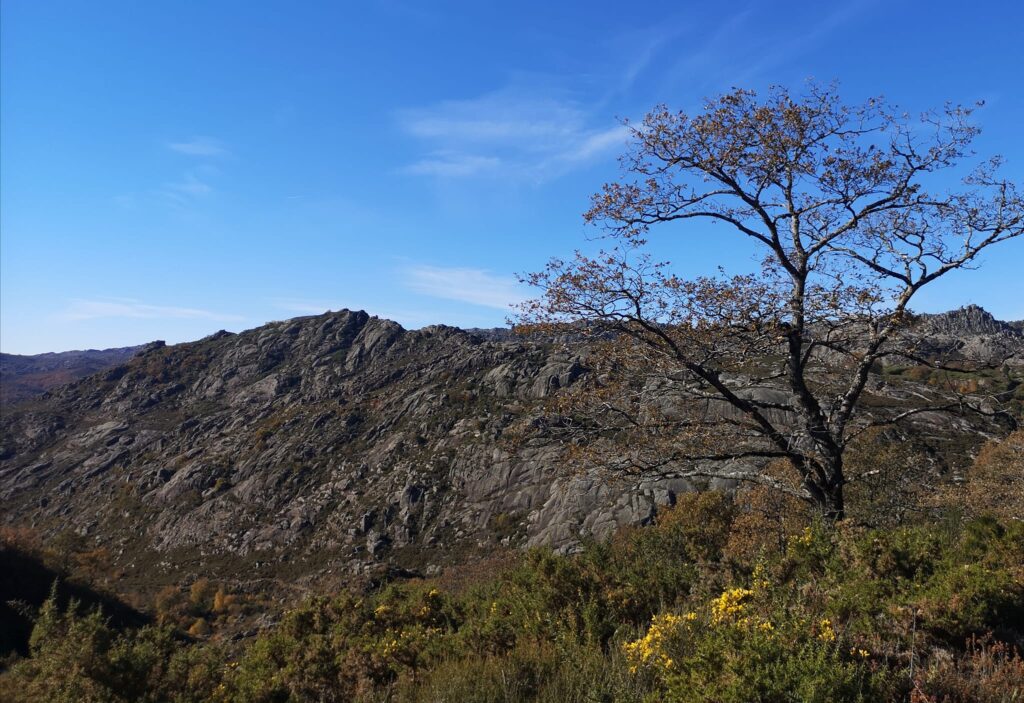 melgaço-trail-essencia-completa
