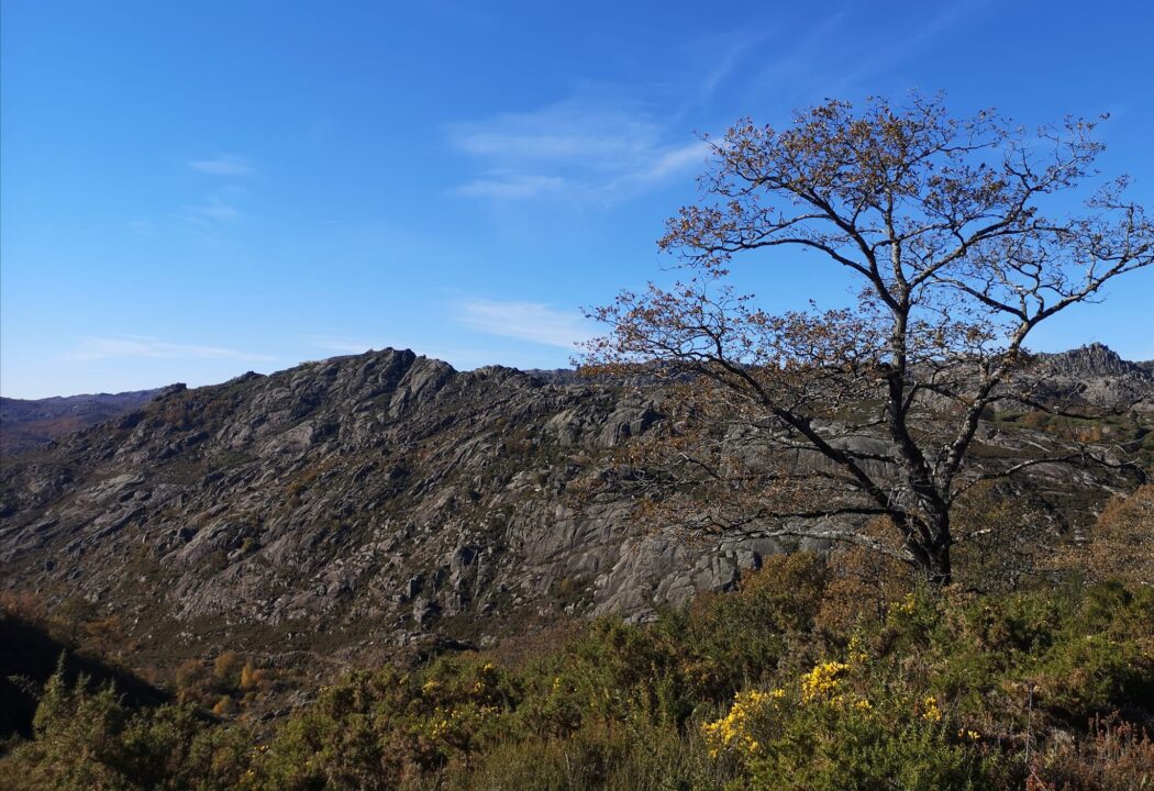 melgaço-trail-essencia-completa